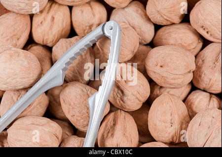Walnuts with nutcracker Stock Photo