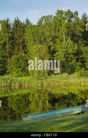 LANDSCAPE HORSE FARM GHENT NEW YORK USA Stock Photo