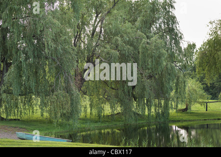 LANDSCAPE HORSE FARM GHENT NEW YORK USA Stock Photo