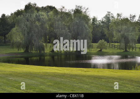 LANDSCAPE HORSE FARM GHENT NEW YORK USA Stock Photo