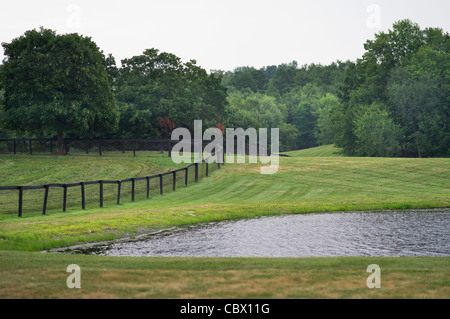 LANDSCAPE HORSE FARM GHENT NEW YORK USA Stock Photo