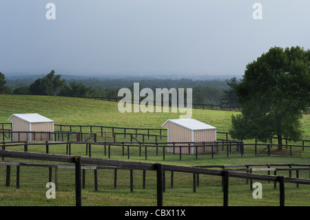 LANDSCAPE HORSE FARM GHENT NEW YORK USA Stock Photo