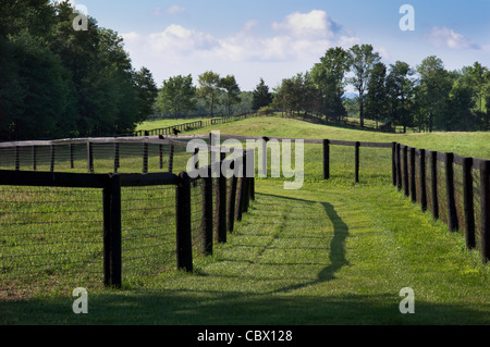 LANDSCAPE HORSE FARM GHENT NEW YORK Stock Photo