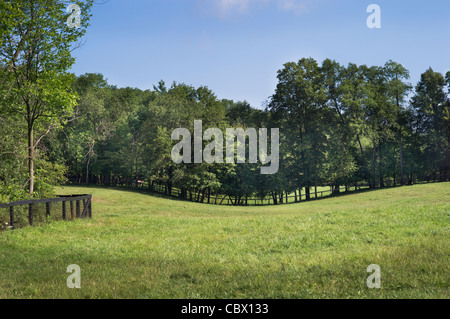 HORSE FARM GHENT NEW YORK Stock Photo