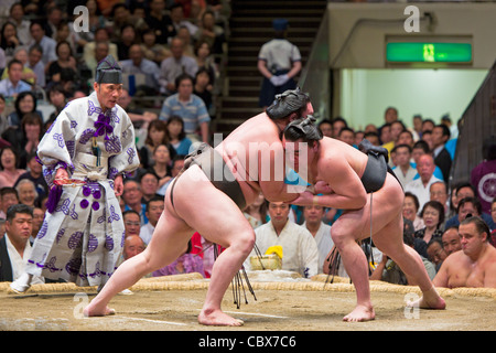 Sumo wrestlers in a bout - Ryogoku Kokugikan, Tokyo, Japan Stock Photo