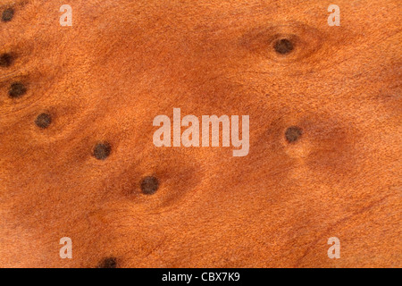 full frame abstract burl wood background Stock Photo