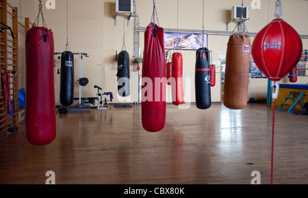 Boxing bags at a gym Stock Photo