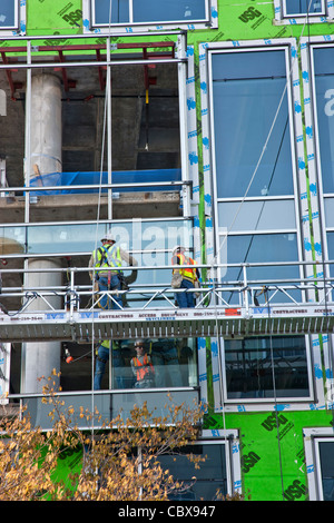 High-rise construction, workers installing ceiling to floor windows. Stock Photo