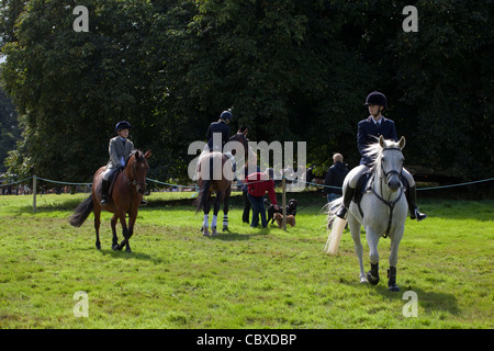 Aylsham Agricultural Show, Norfolk. August Bank Holiday Monday. Young riders warming up before event. Stock Photo