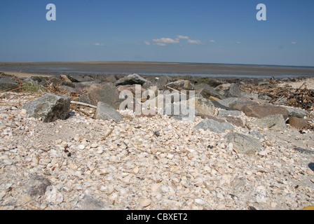 Beach covered with shells and rock, followed by wadden sea beds at low tide at the Loire estuary in Loire-Atlantique, France Stock Photo