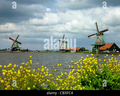 Windmills at Zaanse Schans , near Amsterdam in the Netherlands Stock Photo