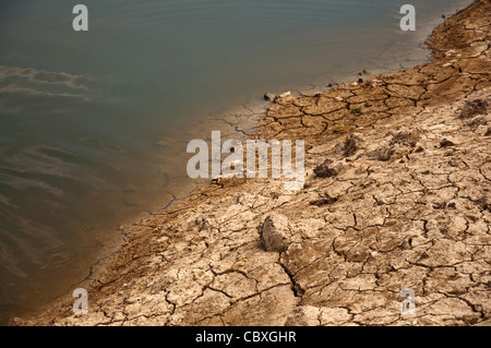 Dry land texture, background image. Stock Photo