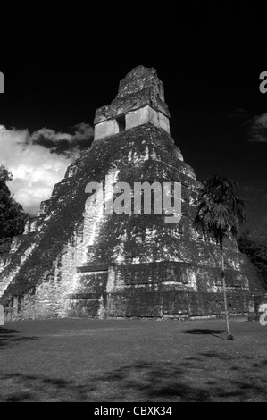 Temple I or Temple of the Great Jaguar at the Mayan ruins of Tikal, Guatemala Stock Photo