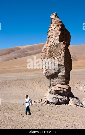 Chile. Atacama desert. Flamingos national reserve. The Monjes de Pacana in the Tara salar. Volcanic rock. Stock Photo