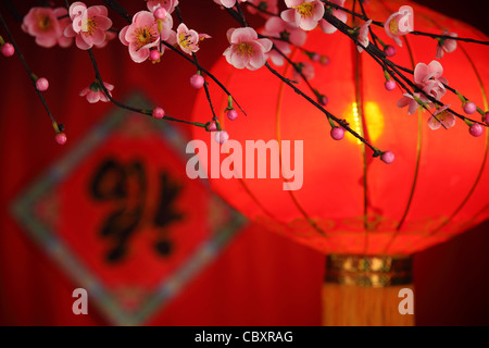 Chinese new year decoration--Traditional lantern and plum blossom on a festive background. Stock Photo
