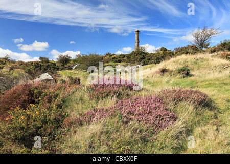 Kit Hill near Callington in east Cornwall captured in september when the heather was in full bloom Stock Photo