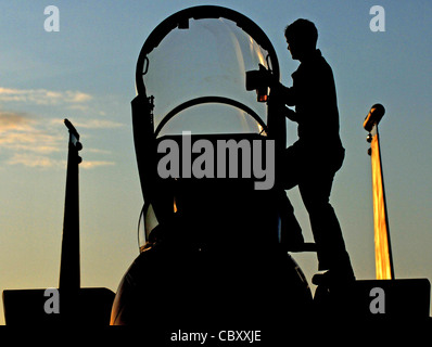 Airman 1st Class Derek Wiltse cleans an F-15C Eagle canopy Feb. 23, 2010 at Kadena Air Base, Japan. Kadena Airmen were participating in joint bilateral training with other U.S. forces and the Japan Air Self Defense Force from Feb. 22 to 26. Airman Wiltse is assigned to the 44th Aircraft Maintenance Unit. Stock Photo