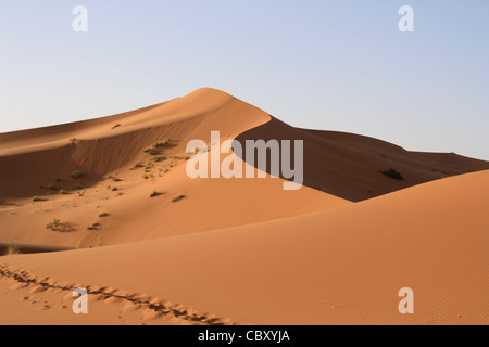 Erg Chebbi, Sahara, Morocco Stock Photo