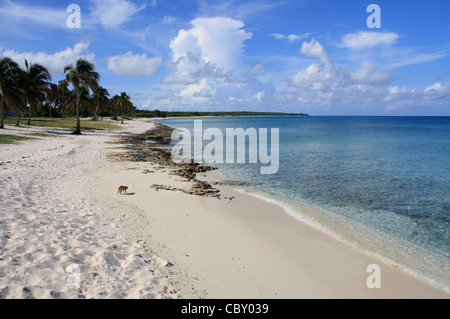 A perfect day in Maria La Gorda, Cuba Stock Photo