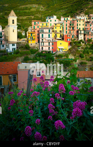 Town of Manarola in Italy's Cinque Terre national park Stock Photo