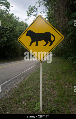 A 'Beware of the Pumas' road-sign next to the road through the jungle in the Parque Nacional Tikal, Guatemala. Stock Photo