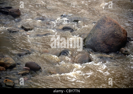 Flood Including Rocks Large river flood with muddy water waves Stock Photo - Alamy