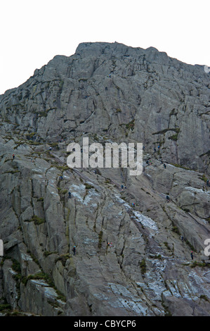 Climbers at Cwm Idwal on the slabs Ogwen north Wales Uk Stock Photo