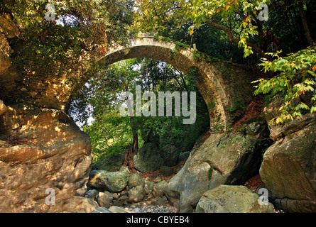 The Diakoumis old, stone, arched bridge in Northern Pelion mountain, Magnisia, Thessaly, Greece. Stock Photo
