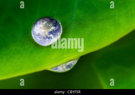 Planet earth waterdrop on lotus leaf. Earth picture credit to: http://visibleearth.nasa.gov Stock Photo