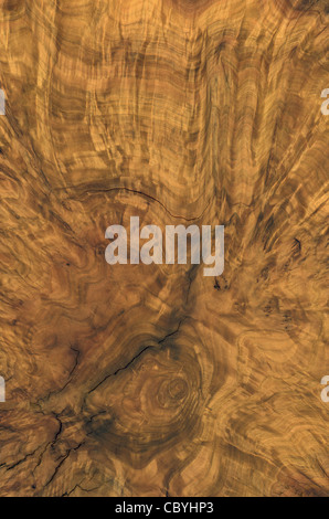 full frame abstract burl wood background Stock Photo