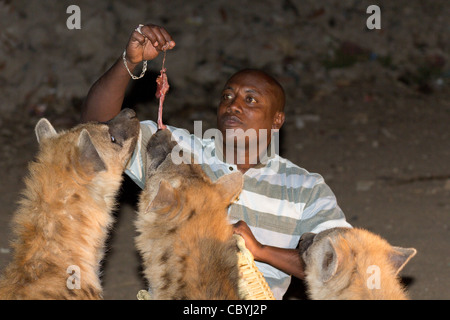 The Hyena man feeding wild hyenas outside Harar in eastern Ethiopia. Stock Photo