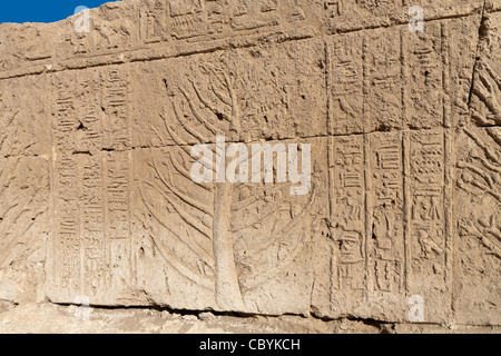 Carved tree from Punt in the Ptolemaic Temple in Wanina, southwest of Akhmim in the Governorate of Sohag, Middle Egypt Stock Photo