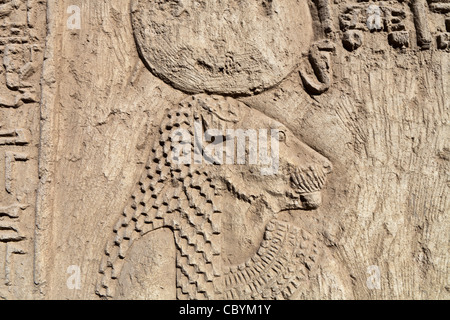 Close up of the lion goddess Repyt  in the Ptolemaic Temple at Wanina, near Akhmim in the Governorate of Sohag, Middle Egypt Stock Photo