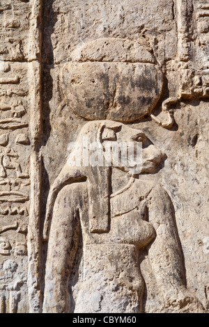 Close up of the lion goddess Repyt  in the Ptolemaic Temple at Wanina, near Akhmim in the Governorate of Sohag, Middle Egypt Stock Photo