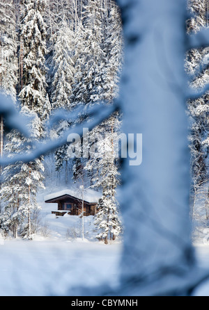 Small wooden sauna cabin made of logs in the snowy taiga forest by a frozen  lake at Winter , Finland Stock Photo - Alamy