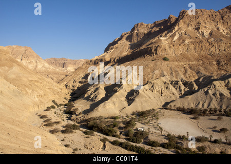 ENTRANCE TO THE VALLEY OF WADI ARUGOT, SEEN FROM THE KIBBUTZ IN THE EIN GEDI NATURE RESERVE, REGION OF THE DEAD SEA, ISRAEL Stock Photo
