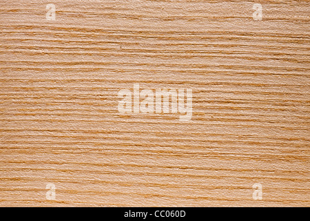 Wood grain of European Ash / Common Ash (Fraxinus excelsior), Europe Stock Photo