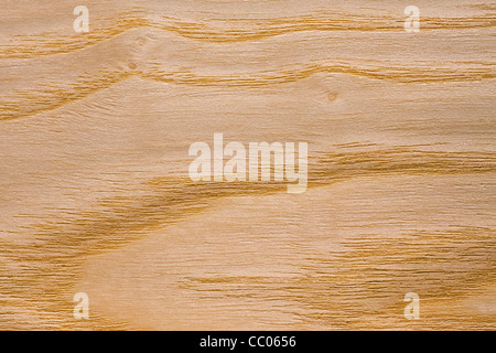 Wood grain of European Ash / Common Ash (Fraxinus excelsior), Europe Stock Photo