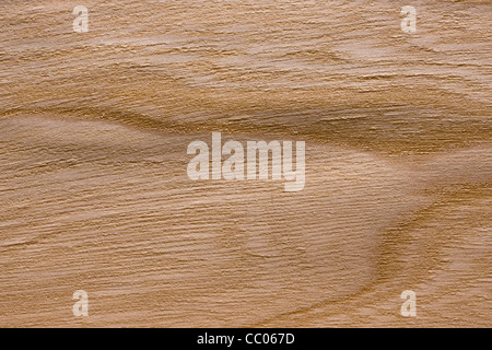 Wood grain of elm (Ulmus), Europe Stock Photo