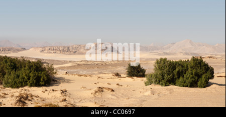 Panoramic shot of the view across the desert close to the settlement at Qasr el Labekha in the desert near Kharga Oasis Egypt Stock Photo