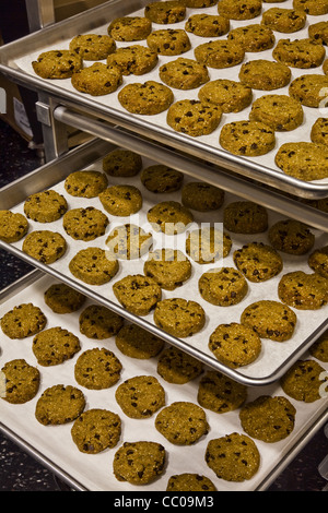 Gluten-free cookies arrayed on baking trays Stock Photo