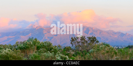 Santa Catalina mountains at dusk, seen from Tucson, AZ. Stock Photo