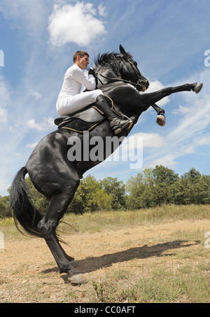 young man and his beautiful black stallion rearing up Stock Photo