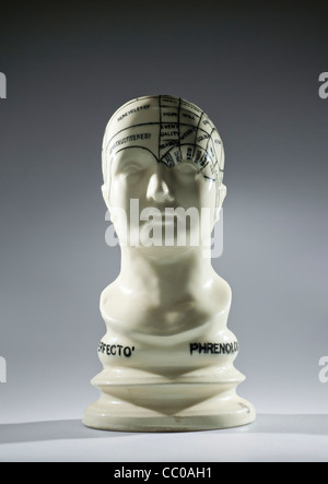 Phrenology - the science which studies the relationships between a person's character and the morphology of the skull Stock Photo