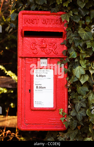 George VI postbox with ivy. Stock Photo