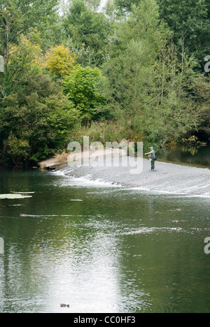 Man fishing on the river Teme, Ludlow, Shropshire, England, UK. Stock Photo