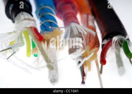 Various different types of fibre optic cable. Stock Photo