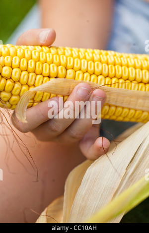 Girl peeling corn. Stock Photo