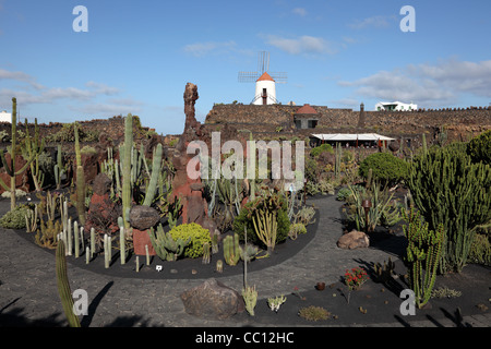 Cactus Garden - Jardin de Cactus - on Canary Island Lanzarote, Spain. Stock Photo