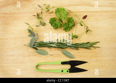 Freshly cut herbs with a pair of miniature shears on a wooden board Stock Photo